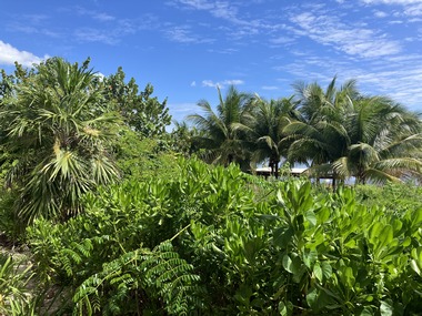 IMG_0914.JPG