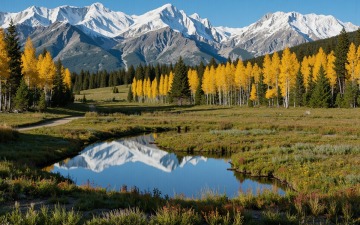 AI landscapes