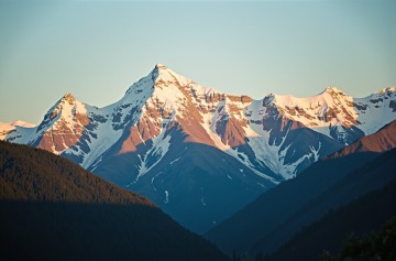 00064-1177232438.jpg