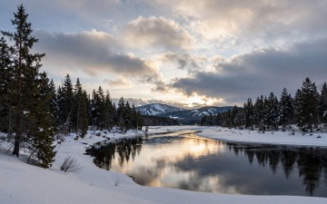 z-image_00028_.jpg