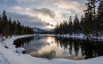 z-image_00029_.jpg