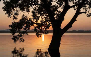 z-image_00038_.jpg
