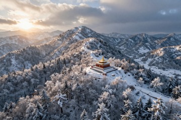 z-image_00282_.jpg