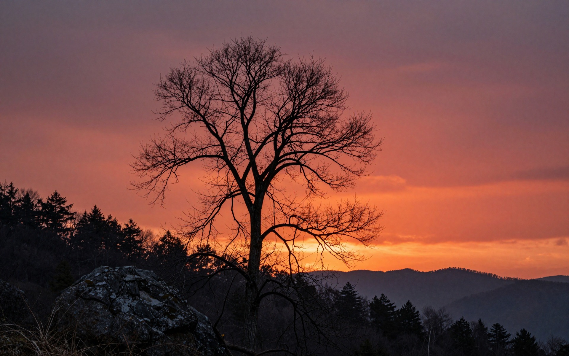 z-image_00030_.jpg