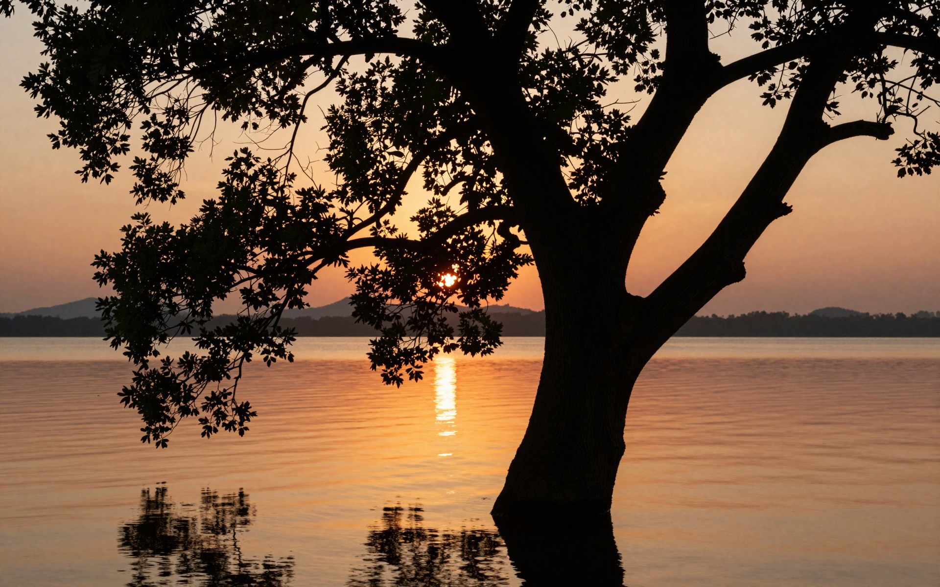 z-image_00038_.jpg
