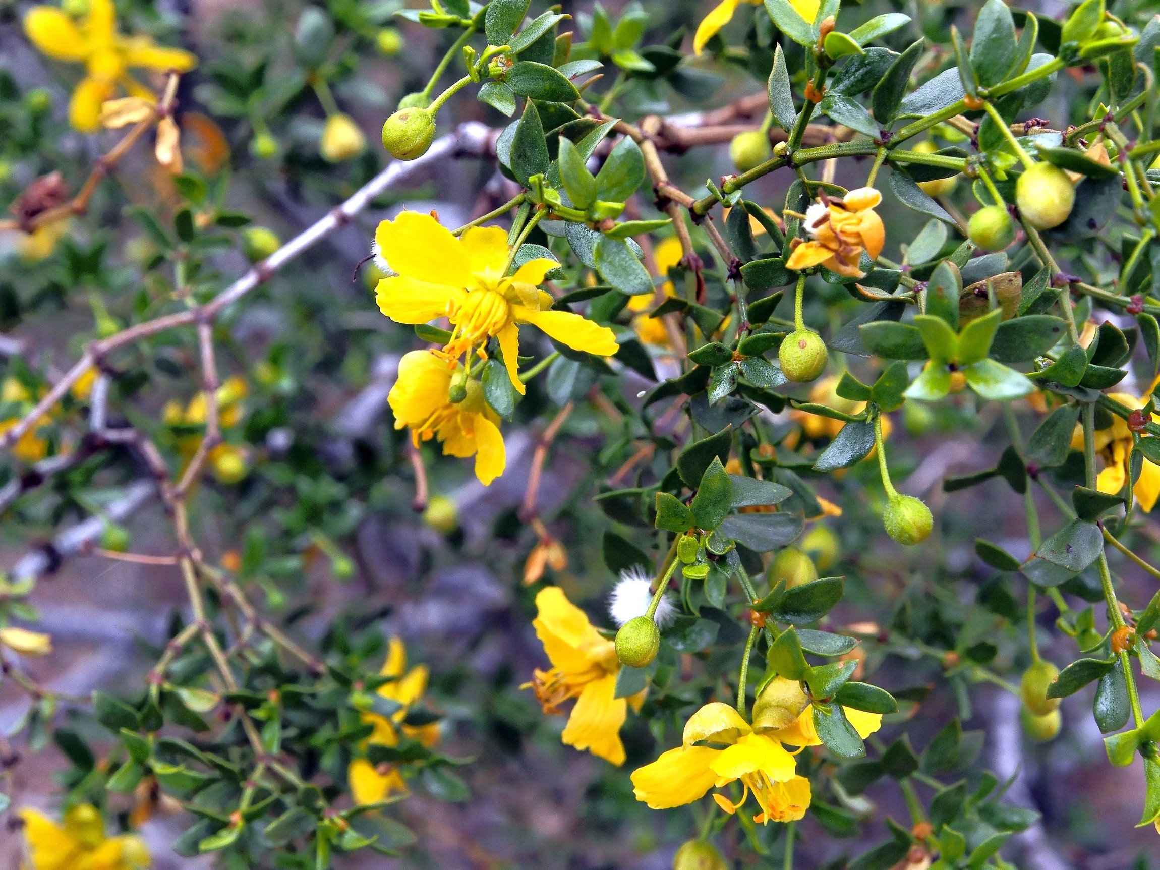 P3100470_d.jpg
