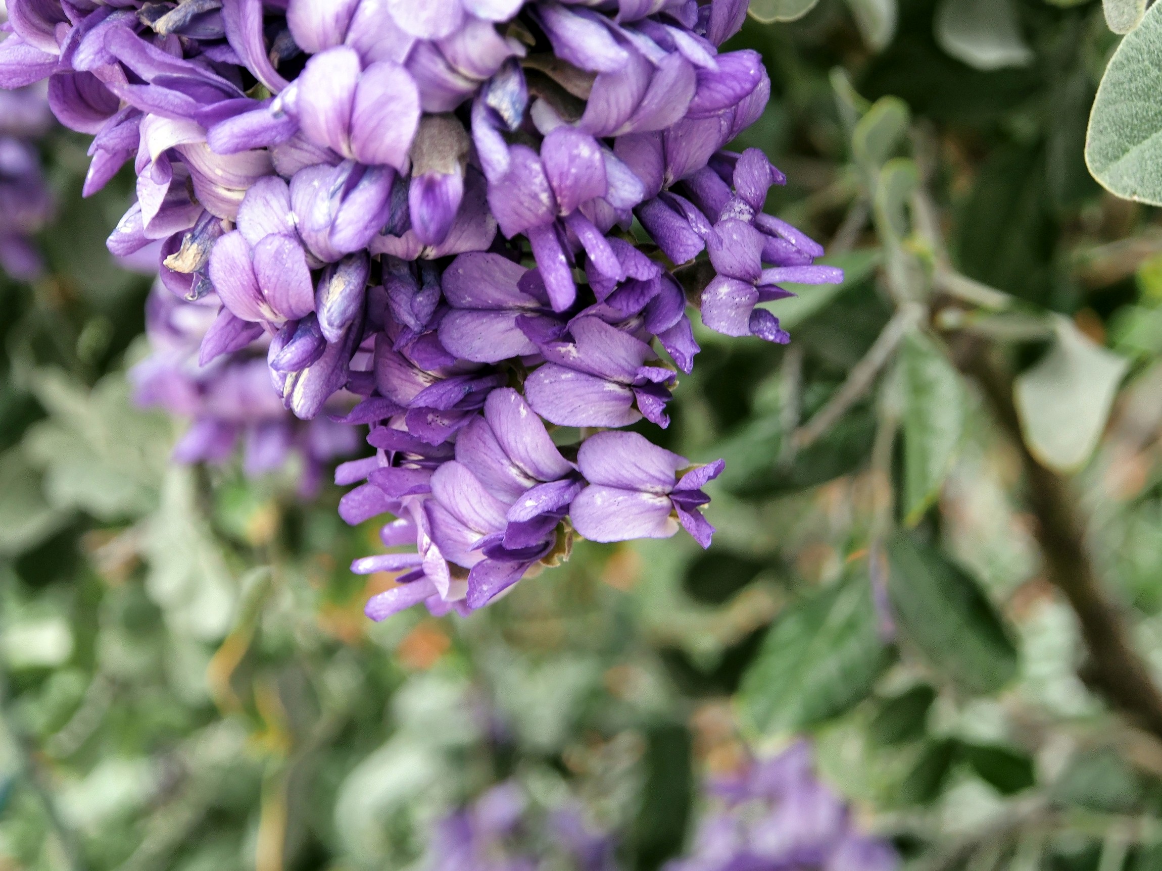 P3100484_d.jpg