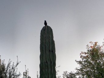 P3080200_d.jpg