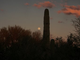 P3080206_d.jpg