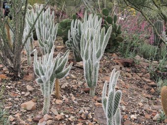P3100519_d.jpg